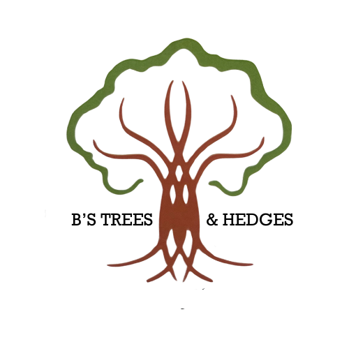 B's Trees and Hedges Ltd